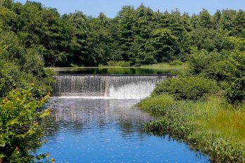 Granby’s Forge Pond Dam and Dike, seen on a recent July afternoon, has been identified as being in “poor" condition - Daily Hamp